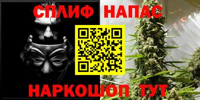 гашик Кимры