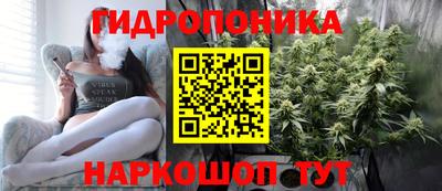 ПСИЛОЦИБИНОВЫЕ ГРИБЫ Кингисепп